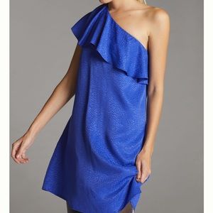 Stunning Royal Blue Animal Print Fancied Frock